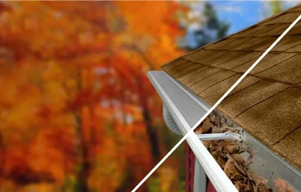 A close-up of a gutter filled with autumn leaves against a blurred background of colorful fall foliage.